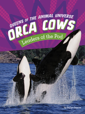 cover image of Orca Cows
